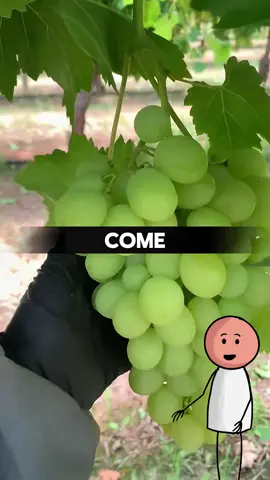 #dulces #salud #alimentostoxicos #consejosdesalud #comidasaludable 