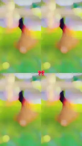 #আমাকে_সাপোর্ট_করো_আমিও_করব 