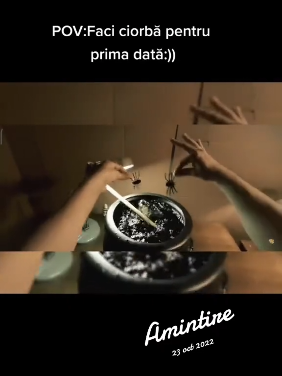 #amintire #pamflet #caterinca #Meme #fyp 