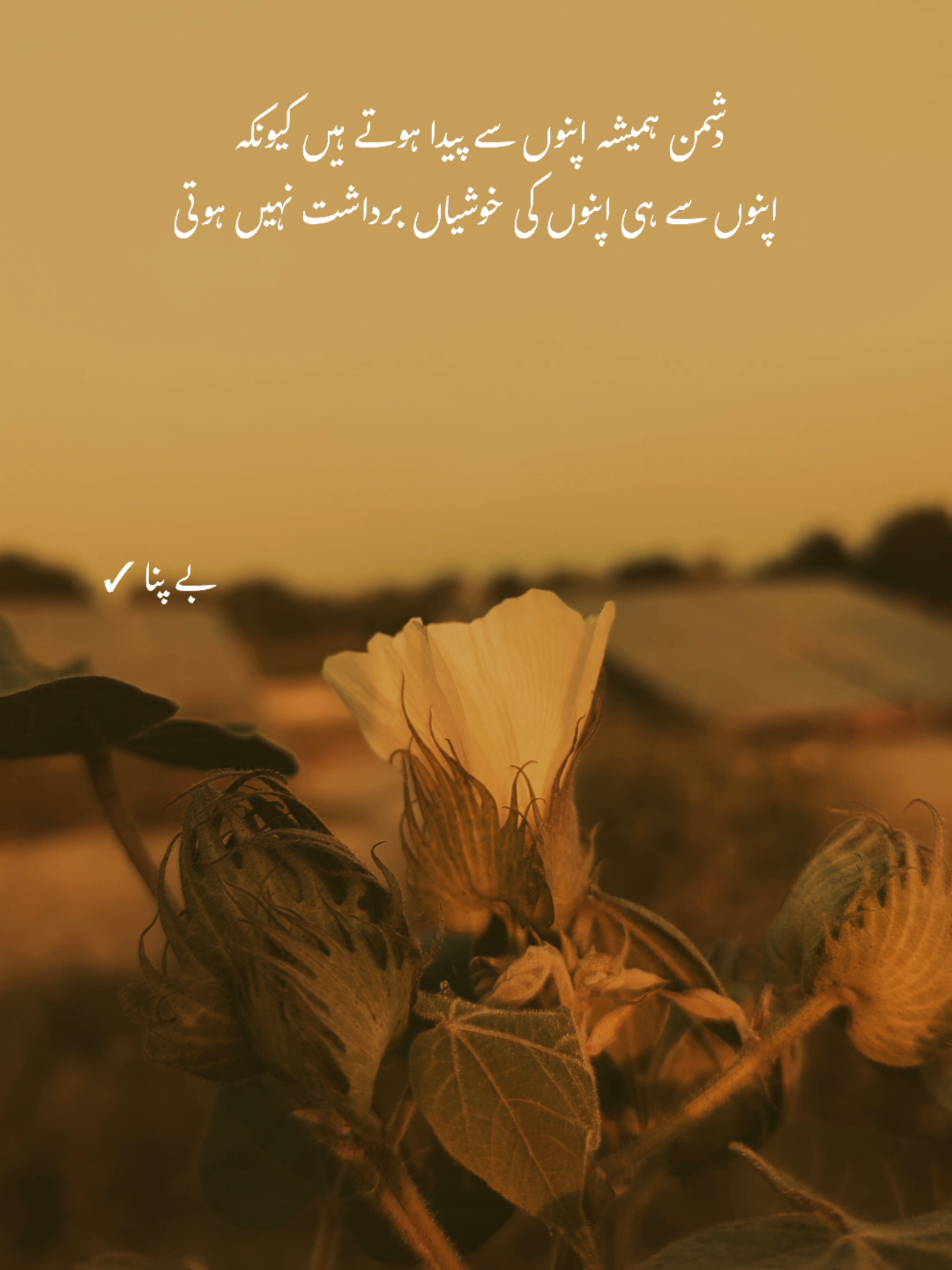 Deep words ❤️‍🩹 #1millionaudition #asthetic #poetrystatus #foryou #fypp 