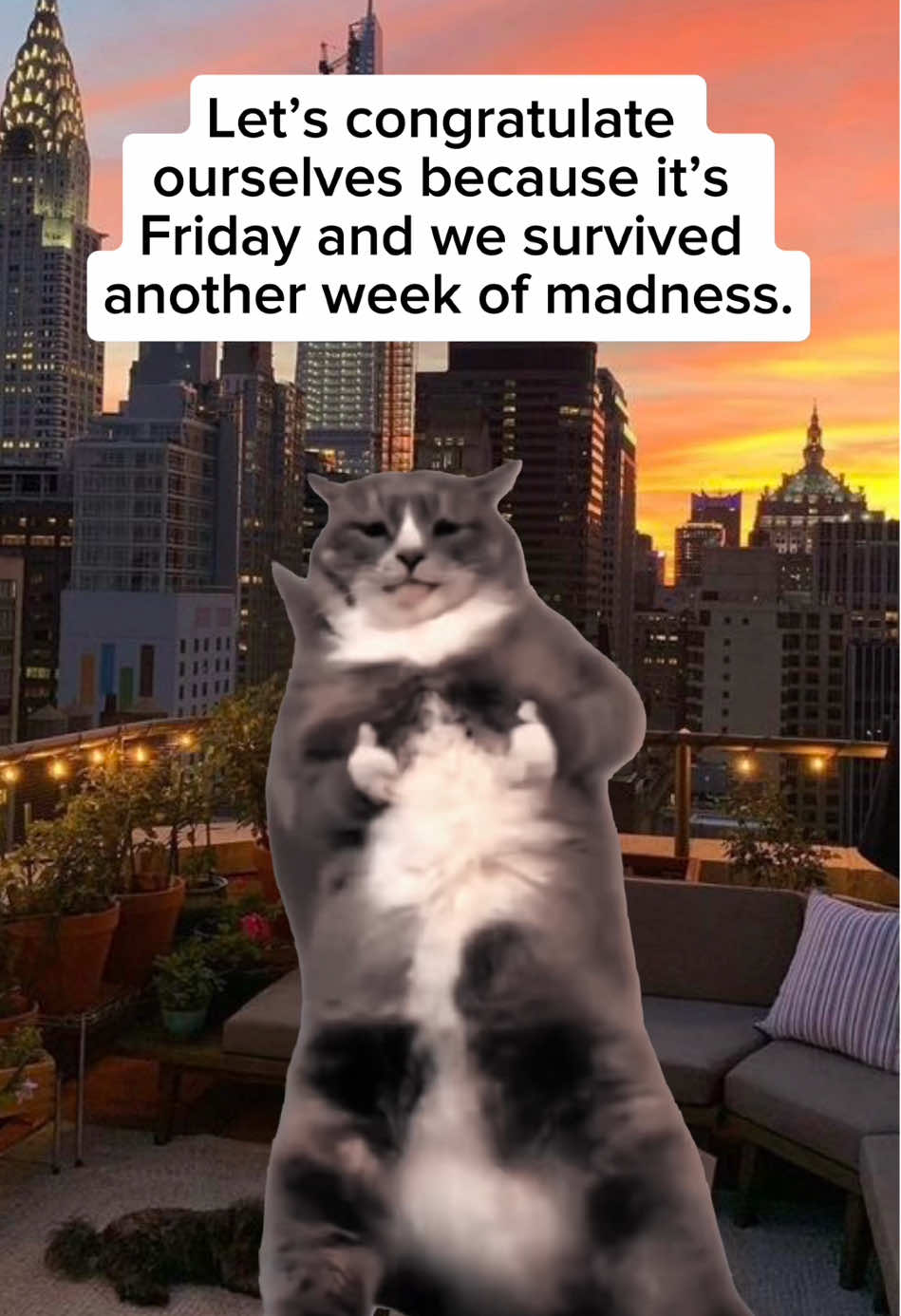 Cause it’s Friday tomorrow #memes #relatable #relatablememes #usethistemplate #CapCut 