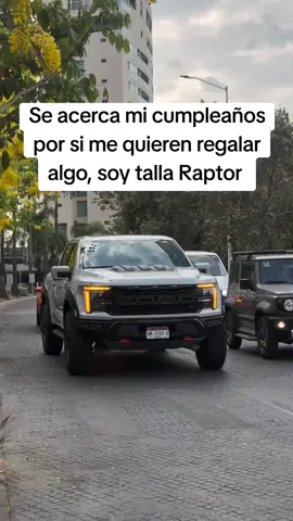 Algo sencillo 😮‍💨 #ford #raptorr #humor #carros 