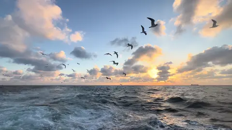 Biển đẹp như chúng ta..