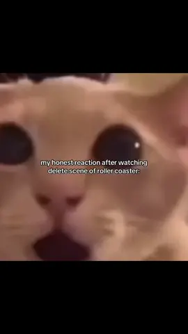 I was so shocked, i really didn’t expect this AAHHHH😩#rollercoaster #shellypundao #shelly #pundao #fyp @shelly @พันดาว @MotionMindsEntertainment 