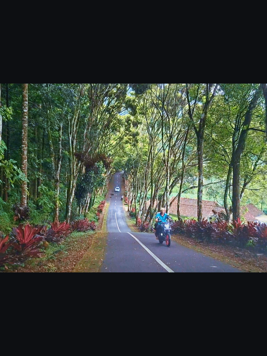jalan terindah menuju curug #jalan #curug #curugcipendok 