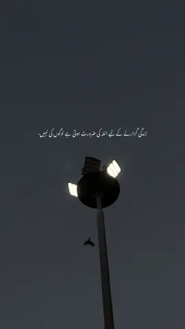 #fyp 