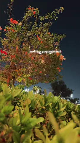 #اللهم_صل_وسلم_على_نبينا_محمد #قران_كريم 