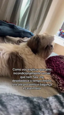 #pet 