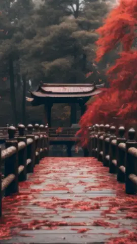 🇨🇳 Can you say “airport” or “subway” in Chinese? ✈️🚇 Comment your score 👇 #LearnChinese #MandarinQuiz #ChineseTravel #MandarinLearning #ChineseDirections #LingoQuiz #StudyTok #LearnLanguages #MandarinPinyin #LanguageChallenge