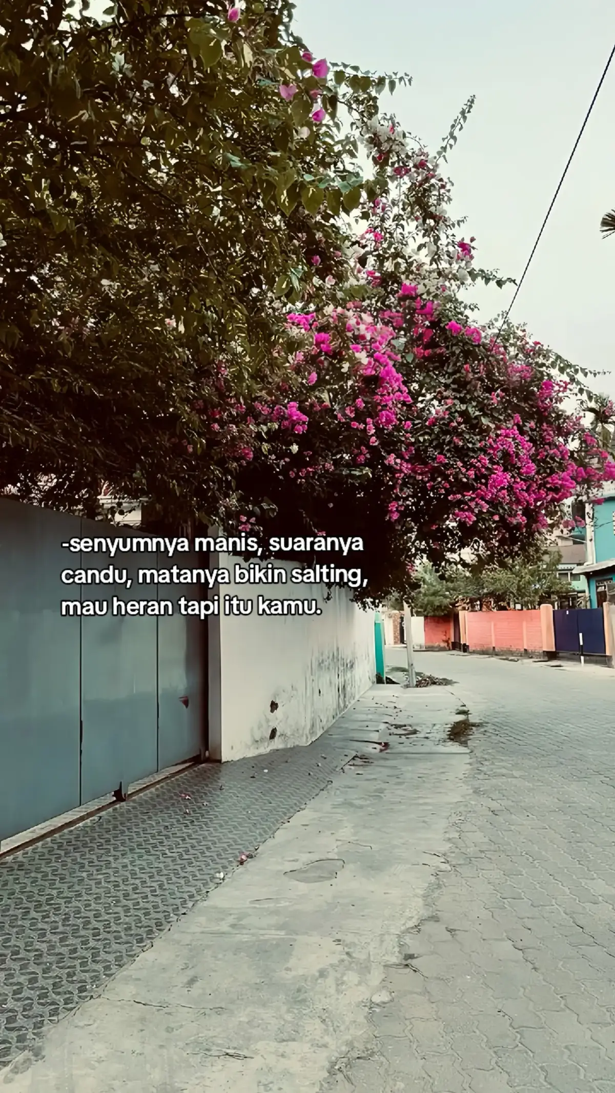 📝Bahan-bahan: 1 siung bawang putih, iris tipis 1 siung bawang merah, iris tipis 2 buah cabai rawit atau sesuai selera, iris tipis 1 buah cabai merah atau sesuai selera, iris tipis Kecap manis Minyak goreng Garam Penyedap rasa Cara membuat: Panaskan minyak goreng di wajan, Lalu, tumis bawang putih dan bawang merah hingga harum. Masukkan nasi dan bahan lainnya. Aduk sampai merata, koreksi rasa, dan sajikan. #creatorsearchinsights #fypviralシ #fypage #4up #mo 