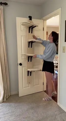 это настоящий пентхаус для пушистых🥰