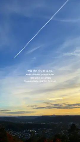 You’re the cause of my Euphoria ✨💜 #jungkook #lyrics #euphoria #bts #fypシ゚ 