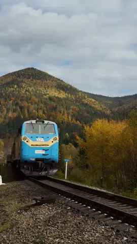 Уявіть, ви клацнули пальцями і опинились тут 😍 #ворохта #скочимодоворохти #vorokhta 