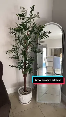 Árbol de olivo #paratiiiiiiiiiiiiiiiiiiiiiiiiiiiiiiiiii #olivo #decor 