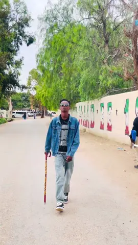 Ceerigaabo 🔥#somali #sharmaboy #somalitiktok #sharmboy006 #bulshaawig99 