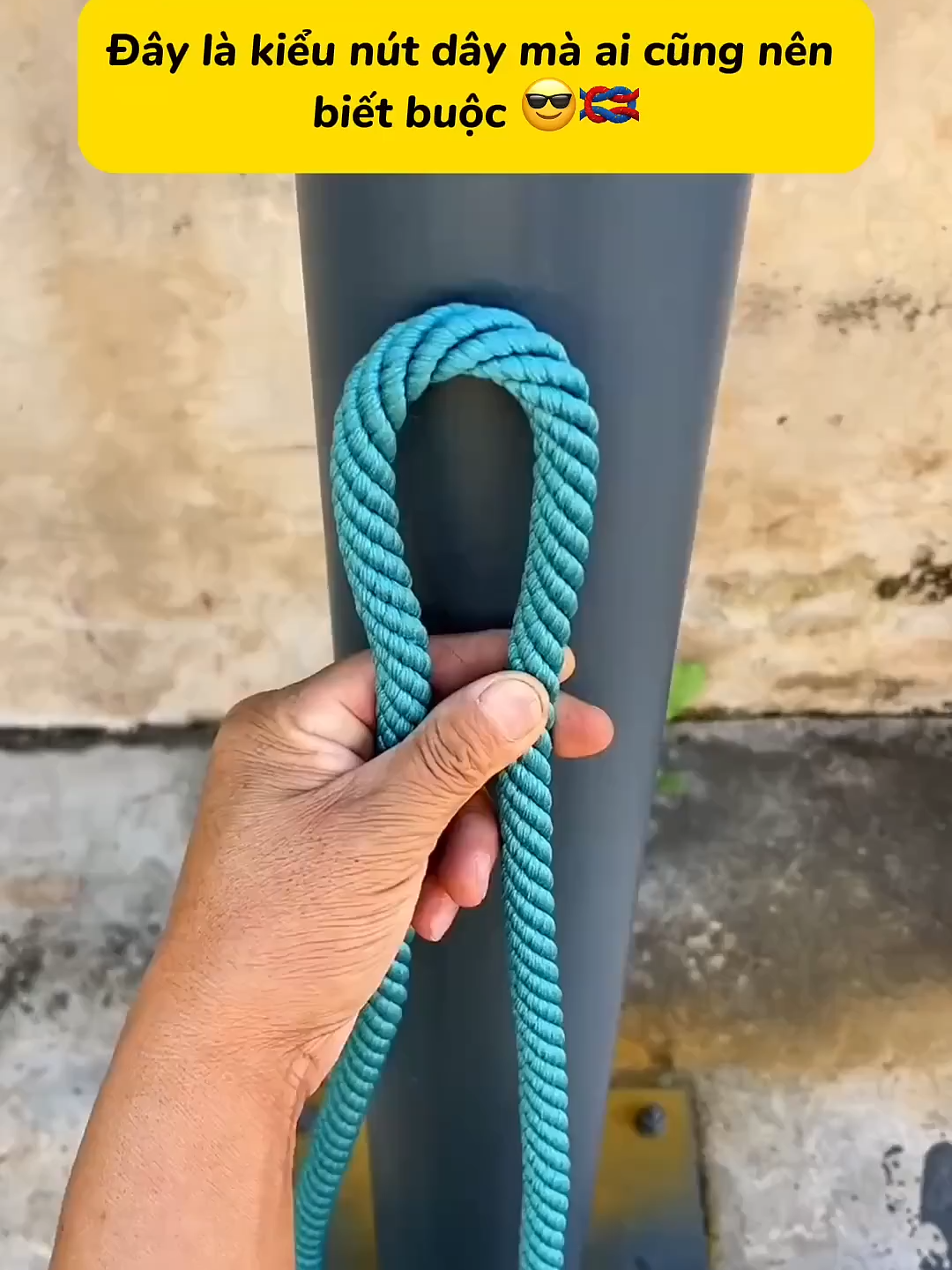 2170896515_R#meovatgiadinh