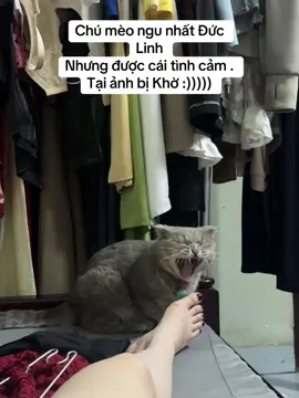 Bơ iu😗