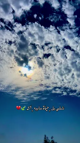 #شلي #بل #حياة #انته #تصويري_احترافي_الاجواء👌🏻🕊😴 