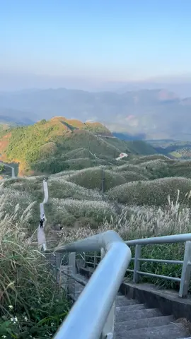 Thiên đường cỏ lau cột mốc 1297 .#hiềnthúyshop #hiềnlạngsơn #hiềnthuýls #Bắcxađìnhlập #thầnthoại 