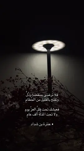 #اكسبلورexplore #الشعب_الصيني_ماله_حل😂😂 #اكسبلوور #مشاهير_تيك_توك #متابعه_ولايك_واكسبلور_احبكم 