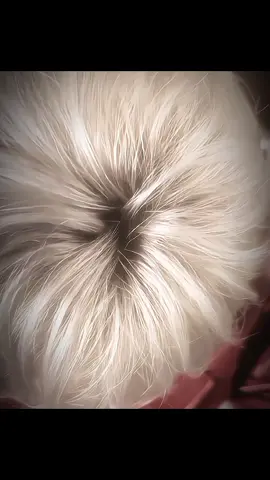 id:? mèo quên rồi 😭😭😭|@𝙙𝙦. 🐼  #viral #xhtiktok #fyp #lequanghung #quanghungmasterd 