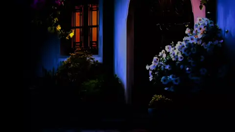 #الشيخ_مبروك_زيد_الخير 