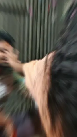 ভাইয়ের কপালে দিলাম ফোঁটা, যমের দুয়ারে পরলো কাটা। যমুনা দেয় যমকে ফোটা আমি দেই আমার ভাইকে ফোঁটা 🥰 #unfrezzmyaccount #tiktok #trending #vairalvideo #foryoupage @Nironjon Shil 