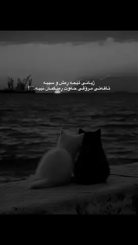 #لایکو_کۆمێنت_فۆڵۆلەبیر_ #ئەکتیڤبن🥀🖤ـہہـ٨ــہ #وتــــەکــــانــــم🖤🕊️ #fypシ゚viral🖤tiktok #foryou 