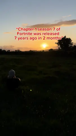 Best season ever #fyp #viral #fortnite #hulkamania_stanley #cianstanley 