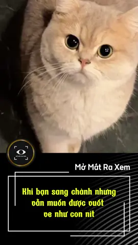 Khi bạn sang chảnh nhưng vẫn muốn được vuốt ve như con nít #dongvat #haihuoc #trending #hottrend #cliptrieuview 