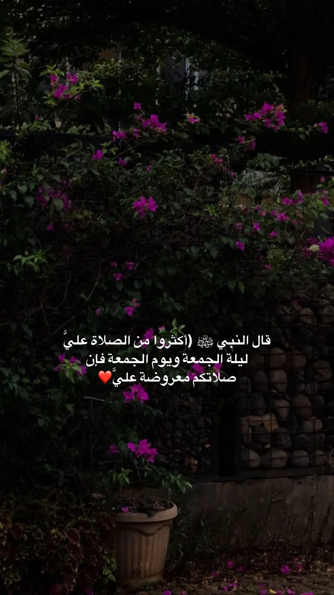 #اكثروا_من_الصلاة_على_نبينا_محمد #اللهم_صلي_على_نبينا_محمد #وعلى_اله_وصحبه_اجمعين #الباقيات_الصالحات_خير_وأبقى #اذكروا_الله_يذكركم 