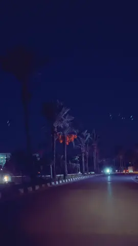 #mohamadchaker #محمد_شاكر #يا_طير_الطاير #mohamad_dib #استاذ_ديب 