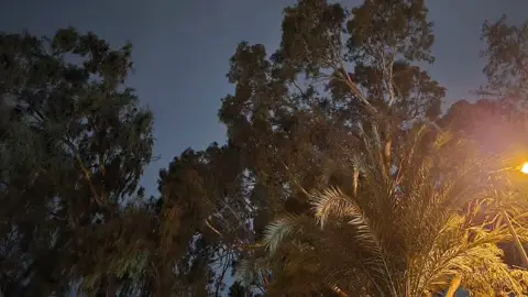 اغمرني هالليله عيد 🤍🕊 #viral #تصويري #foryou 