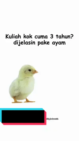 🎓 OPEN DAY Monash University Indonesia Gua awalnya mikir, “kampus luar negeri tapi di Indonesia? paling mahal doang.” Eh, ternyata bisa kuliah di Indonesia, lanjut di Australia juga (opsional!) 😳 Ada 3 jurusan yang katanya paling dicari dunia kerja: 🐔 Digital Business 🐔 Information Technology 🐔 Design 📍 Tanggal: Minggu, 26 Oktober 2025 📍 Lokasi: Monash University Indonesia, BSD 🕚 Waktu: 11.00 - 18.00 (Jakarta Time) ✨ Kalo lu masih bingung mau kuliah di mana, dateng aja ke OPEN DAY-nya. Lu bisa nanya langsung ke dosen, liat kampusnya, dan dapet insight biar gak salah jurusan! @Monash University, Indonesia  👉 Daftar sekarang di: bit.ly/MI-OpenDayBachelor