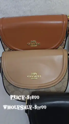 #tiktokviral #bagsoftiktok #coach 