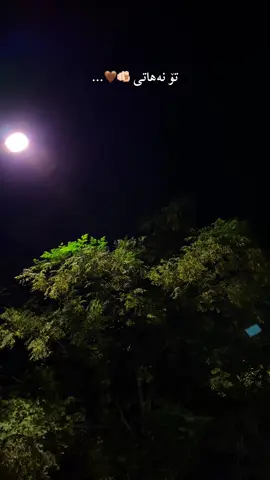 تۆ نەهاتی🫵🏻🤎…#fypシ゚ #viral #foryou #tiktok #selwa🦋 