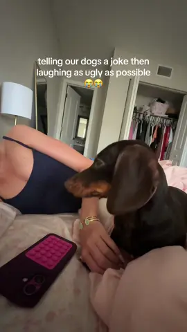 bro 😭😭😭😭 @savvvvvv #fyp #weineedog 