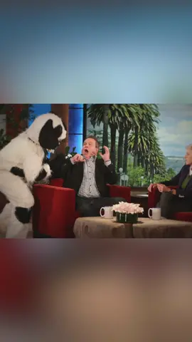 Eric Stonestreet? More like Eric Scarestreet 👻 #theellenshow #ericstonestreet #scare #prank #halloween 