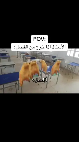 #fyp #رياكشن #شعب_الصيني_ماله_حل😂😂 