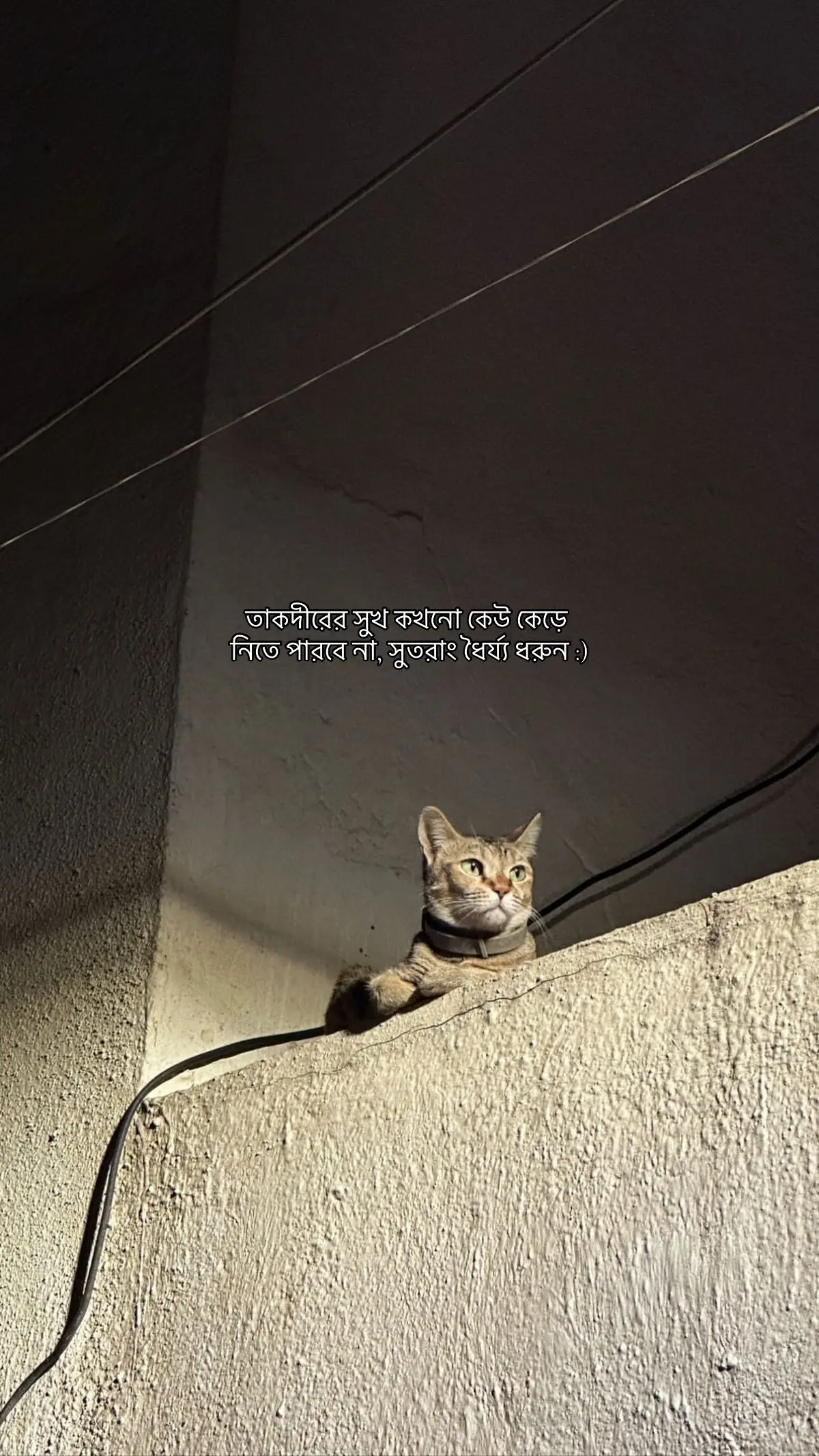 #outfit cowok berwarna #fyppppppppppppppppp #joybhaiyaa 