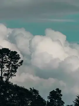 solusi cepat kaya#templat #CapCut 