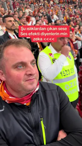 İnstagram:batuhanterzi1#galatasaray💛❤ #ses #desibel #ultras 
