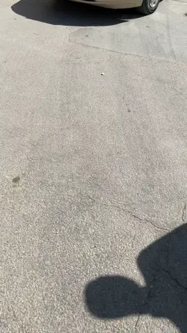 ماشاءالله 🌪️💀…#اكورد2004🦅 #النترا #تمره #explore #متابعه_ولايك_واكسبلور_فضلا_ليس_امر  ….