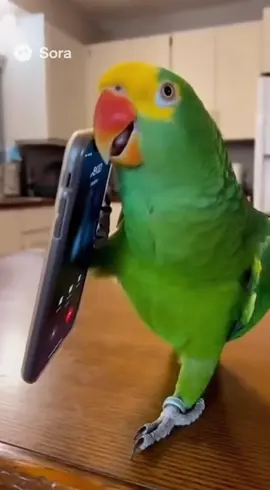 Parrot Roasts Police. No one can mess with Larry The great aaahhhh!! #petparrot #talkingparrot #funnyparrot #parrotsoftiktok #larrytheparrot 