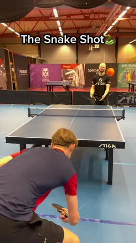 Watch this tricks🐍#pingpong #乒乓球 #tabletennis #tennisdemesa 