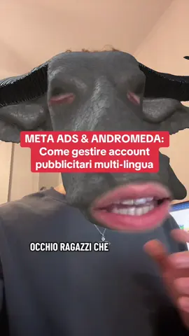 Meta Ads & Andromeda: come gestire Account Pubblicitari Multi-lingua