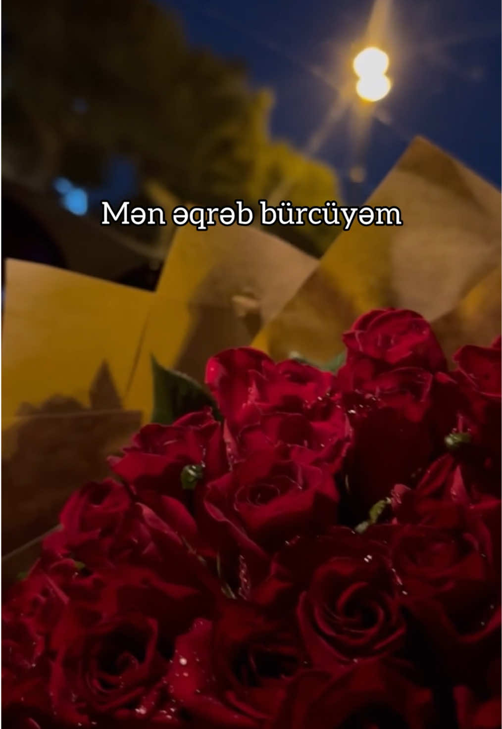 Əqrəb bürcü olmaq bir ayrıcalıqdır🦂✨ #akrepburcu #keşfet #beniöneçıkarttiktok #7november #fyp 