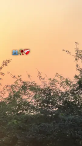 Sach Bat Hai 🥀❤️‍🩹🤙##foryou##viwes##viralvideo##100kviews
