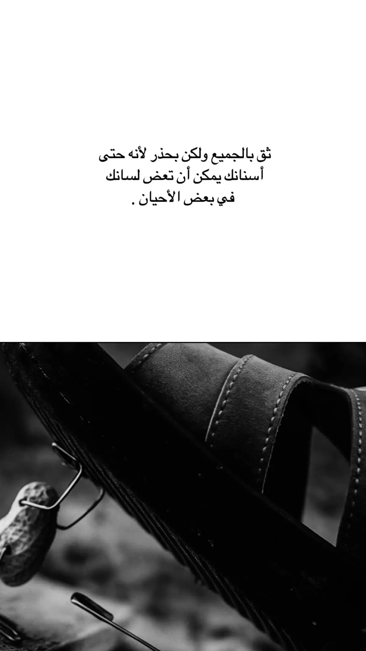#مجرد_ذووقツ🖤🎼 #ترند #مجرد________ذووووووق🎶🎵💞 #اكسبلورexplore #امريكا 