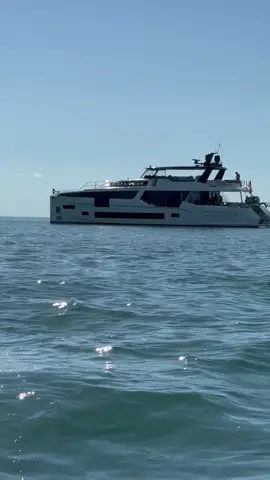 #ocean #oceanlife #oceanlife #oceanlover #tikto 